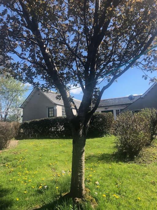 West Lodge 3 Bedrooms, Near Golf Course And River Turriff Exterior foto
